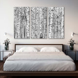 Birch Forest Black & White Canvas Print SKU 10469