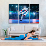 Sportswomen-Karate on the Big Arena Canvas Print SKU 10683