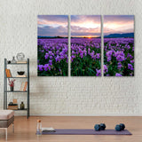 Iris Field in Provence Canvas Print SKU 10944