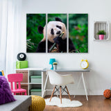 Panda Eats Bamboo Canvas Print SKU 10881