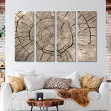 Old Stump Texture Canvas Print SKU 10548