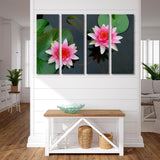 Two Pink Lotuses on Green Leaves Canvas Print SKU 10348