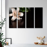 Lily Flower on Dark Background Canvas Print SKU 10338