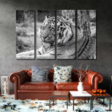 Black and White Portrait of a Siberian Tiger Canvas Print SKU 10184