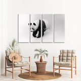 Giant Panda Bear Black and White Canvas Print SKU 10288