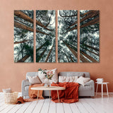 Cedar Forest Canvas Print SKU 10514