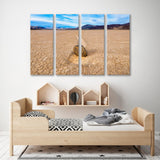 Playa Racecourse in Death Valley National Park Canvas Print SKU 10902