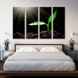 Sapling in Sunlight Canvas Print SKU 10447