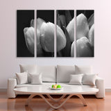 Bouquet of White Tulips Black and White Canvas Print SKU 10466