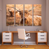 Highland Cattle on Exmoor Canvas Print SKU 10626