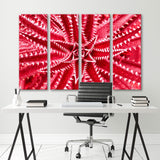 Abstract Red Cactus Canvas Print SKU 10737