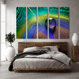 Water Drops on Peacock Feather Canvas Print SKU 10422