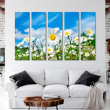 Field with Daisies Canvas Print SKU 10342