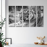 Black and White Portrait of a Siberian Tiger Canvas Print SKU 10184