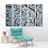 Snow Covered Trees and Road Canvas Print SKU 10720