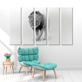 Proud Lion Black and White Canvas Print SKU 10290