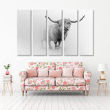 Scottish Cow White and Black Canvas Print SKU 10311