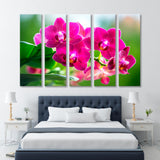 Pink Orchid Canvas Print SKU 10345