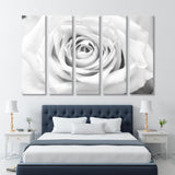 Rose in Black and White Canvas Print SKU 10168