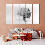 Wild Bison Buffalo Black and White Canvas Print SKU 10273