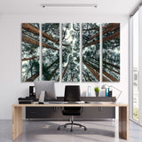 Cedar Forest Canvas Print SKU 10514