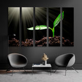 Sapling in Sunlight Canvas Print SKU 10447