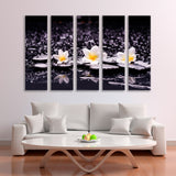 Spa Still Life of Frangipani and Black Stones Canvas Print SKU 10938