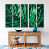 Palm Leaves with Raindrops Canvas Print SKU 10734