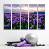 Iris Field in Provence Canvas Print SKU 10944